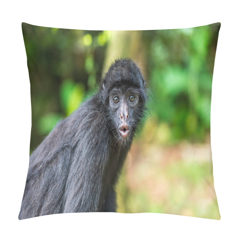 Personality  Spider Monkey Close-Up In The Amazon Rainforest, Brazil Pillow Covers