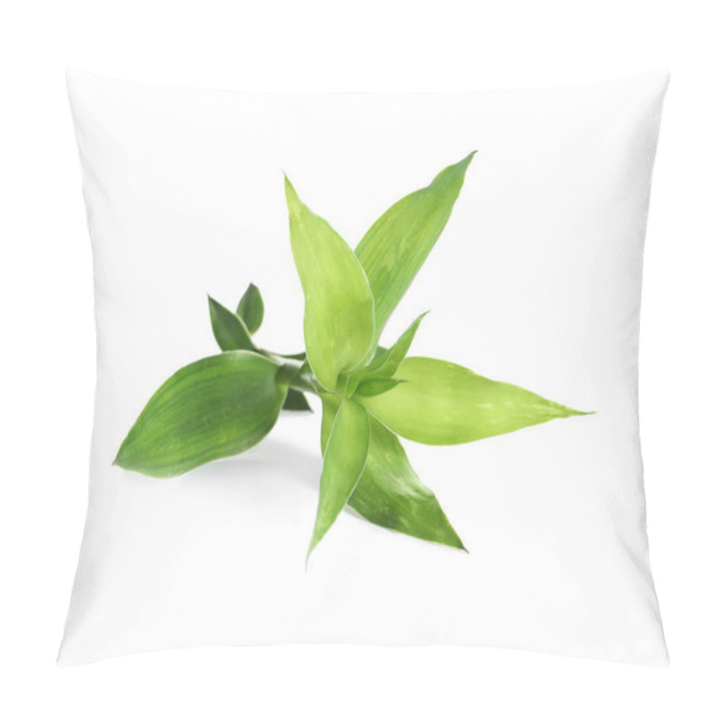 Personality  Beautiful Green Bamboo Leaves On White Background Pillow Covers