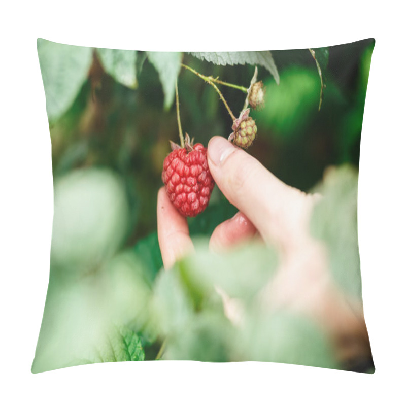 Personality  Raspberry Picking Pillow Covers