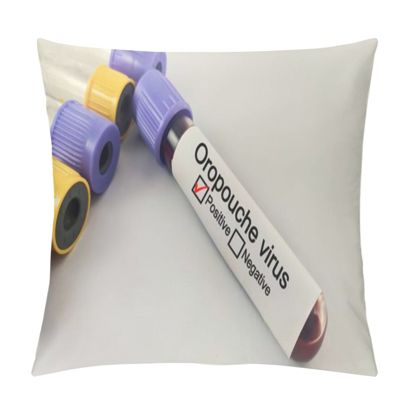 Personality  Blood Sample Of Patient Positive Test For Oropouche Virus.  Medical And Health Concept Pillow Covers