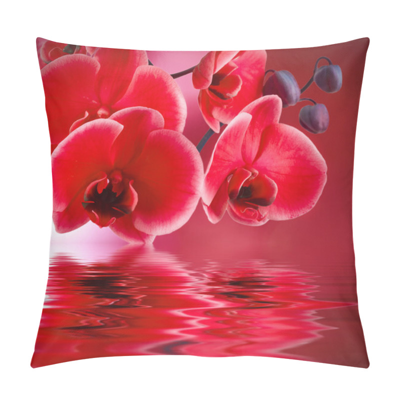 Personality  Background Of Flowers Pillow Covers