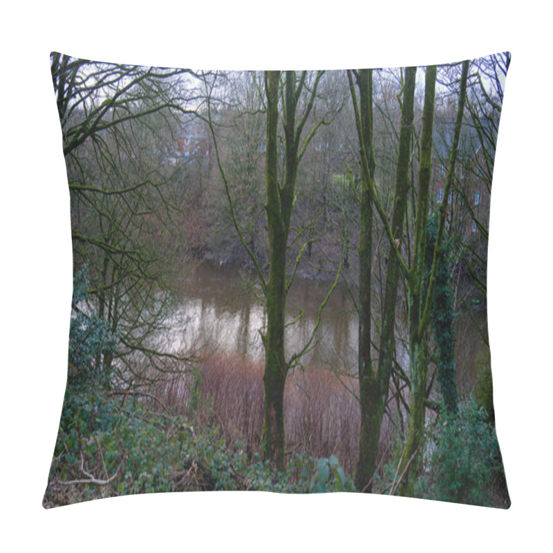 Personality  Trees By The Water In Autumn. Deciduous Trees And River View In Autumn Pillow Covers