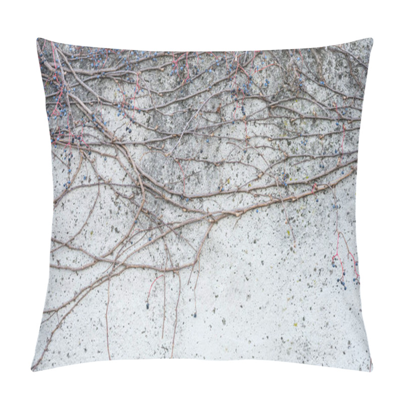 Personality  Abstract Minimalist Wall Texture With Intertwined Bare Branches And Natural Geometric Patterns Pillow Covers