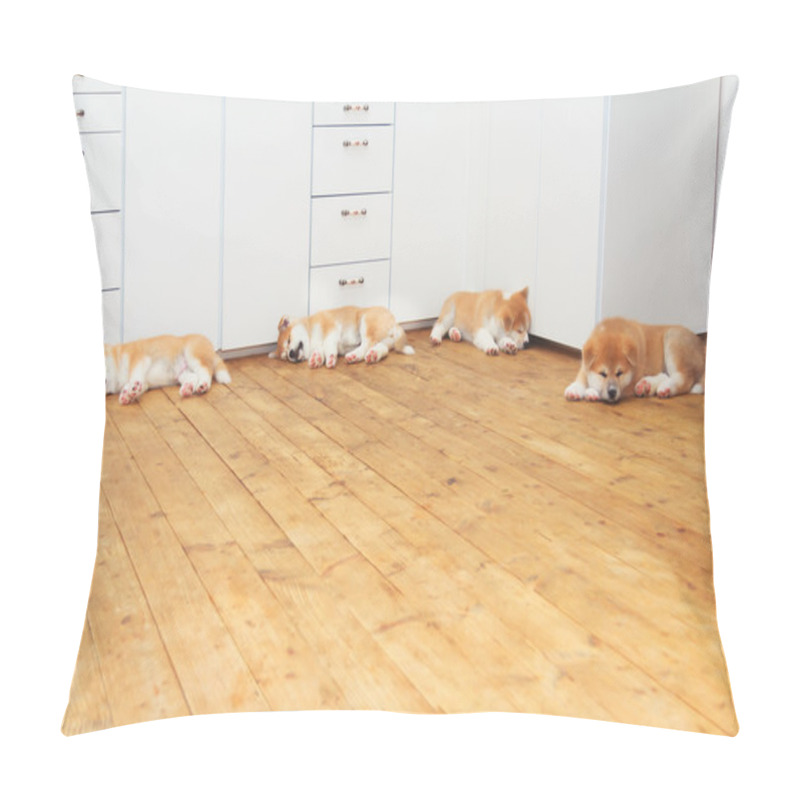 Personality  Four Sleeping Japanese Akita-inu Breed Dog Puppies Pillow Covers