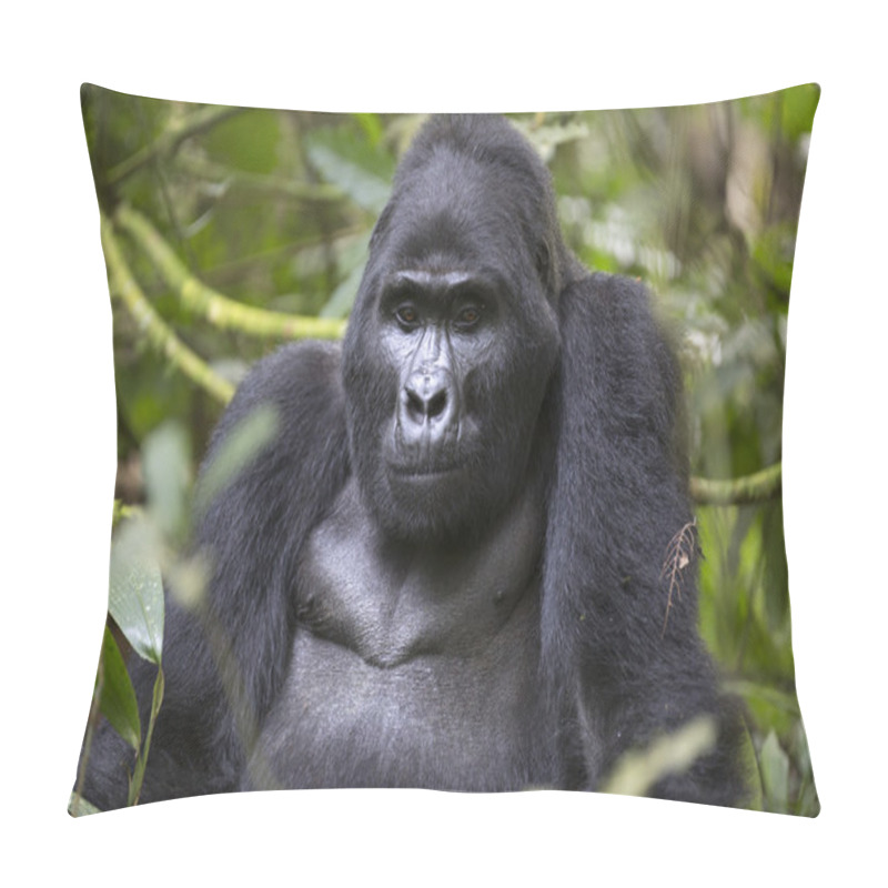 Personality  Portrait Of Free Roaming Mountain Gorilla Pillow Covers