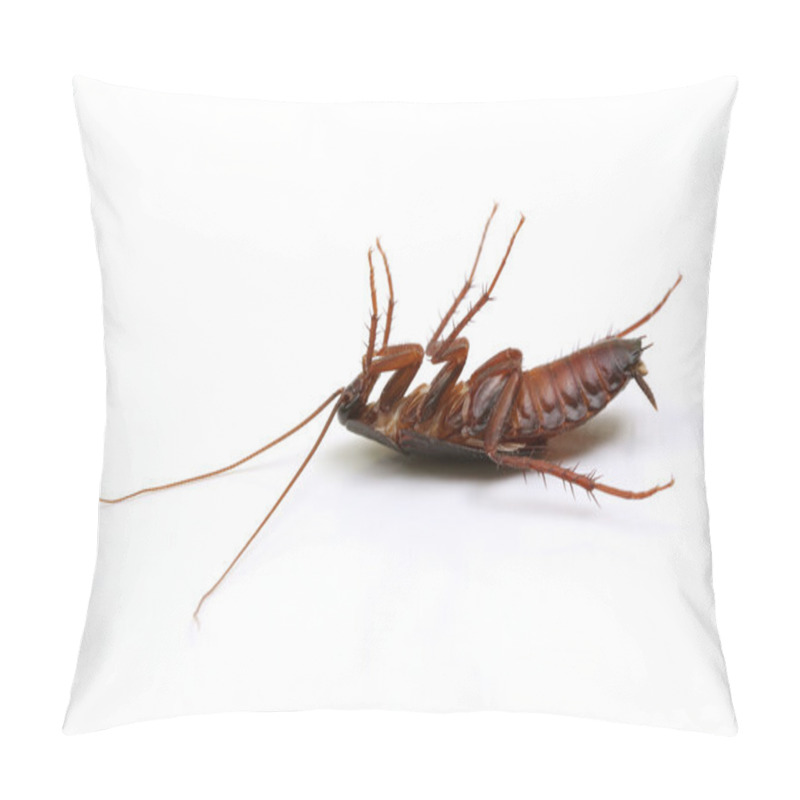 Personality  Dead Cockroach On White Background Pillow Covers