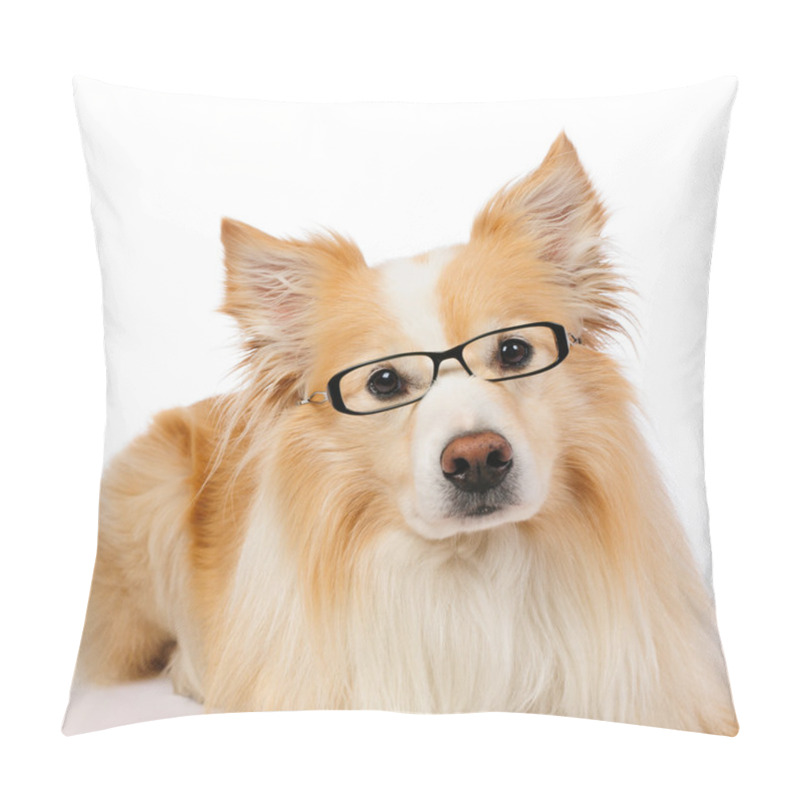 Personality  Border Collie With Glasses Pillow Covers