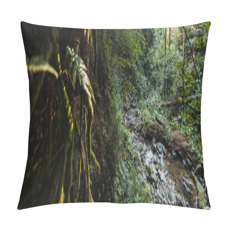 Personality  Panoramic Shot Of Flowing River Near Stones And Trees  Pillow Covers