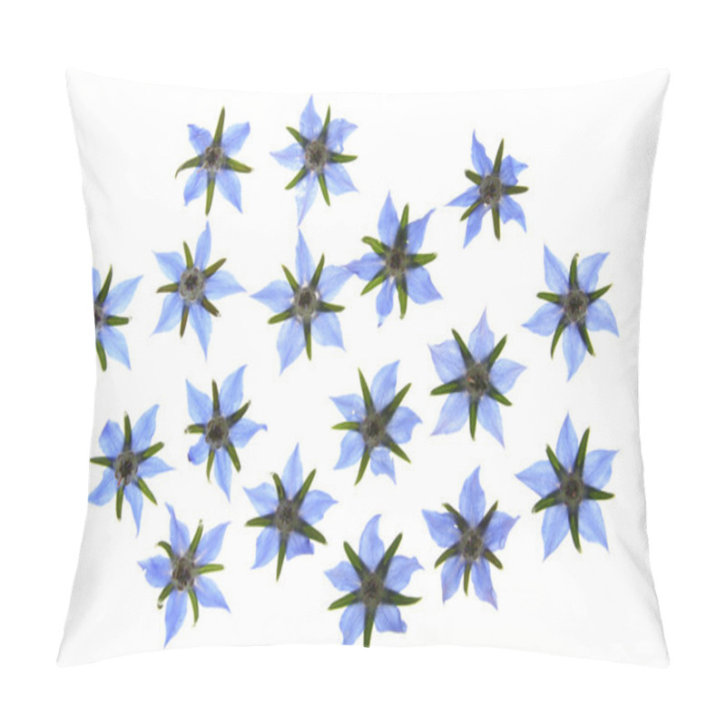 Personality  Flowers Of Borage Pillow Covers