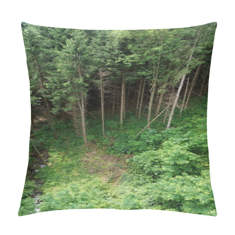 Personality  Fairy-tale Aerial View From Above Of The Curvilinear River In The Green Wild Atmosphere Pillow Covers