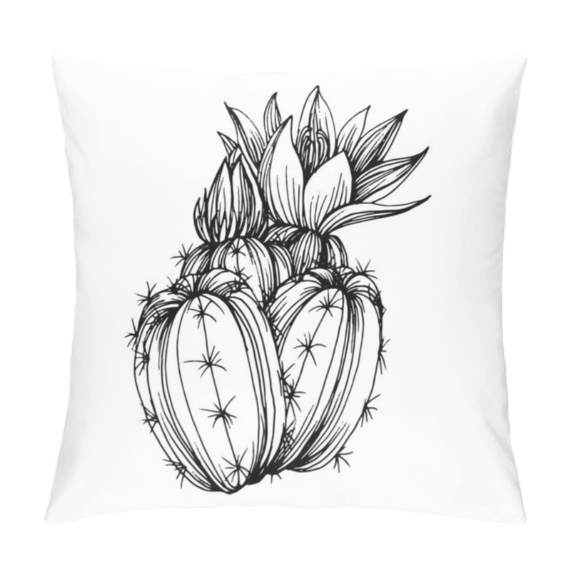 Personality  Cactus Sketch For Logo. Floral Succulent Plants Tattoo Highly Detailed In Line Art Style. Black And White Clip Art Isolated On White Background. Antique Vintage Engraving Illustration. Pillow Covers