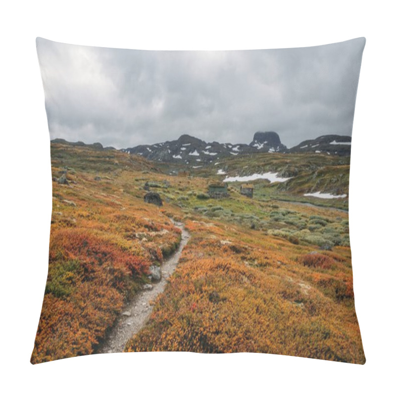 Personality  Hardangervidda Pillow Covers