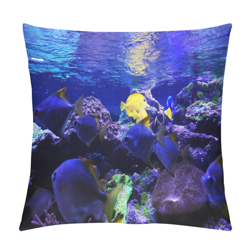 Personality  Yellow And Blue Aquarium Fish Pillow Covers