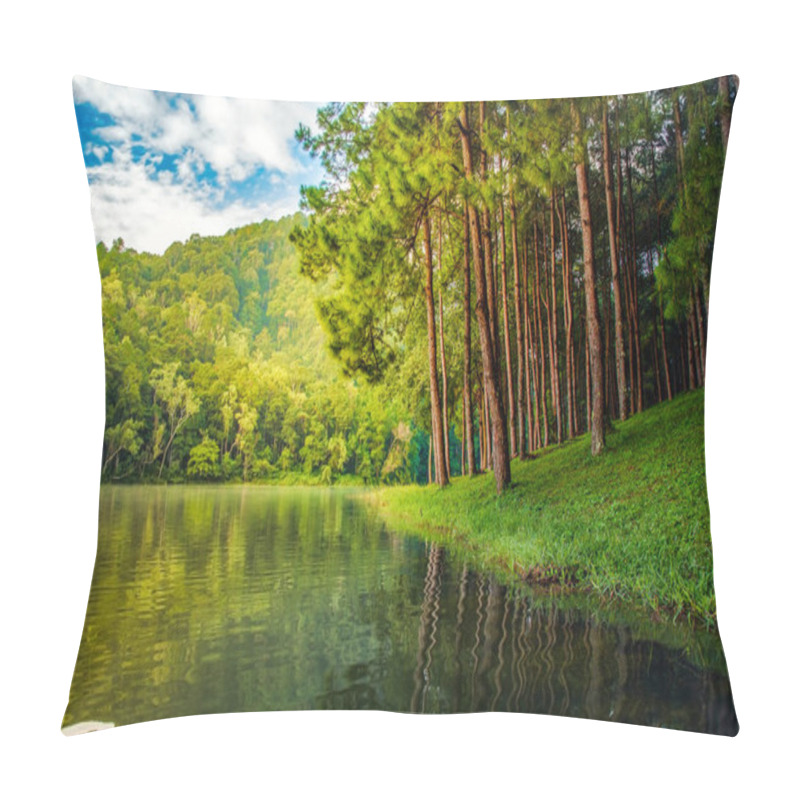 Personality  Pine Tree Forest Scene And Lake Rural Scene Nature Background Pillow Covers