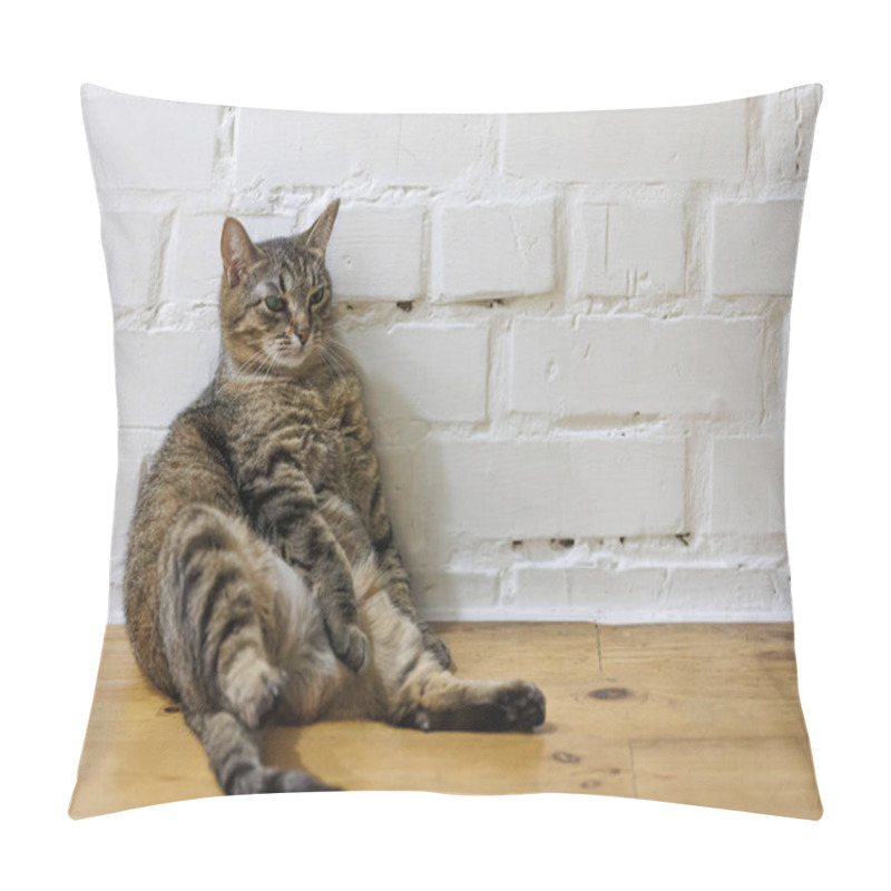 Personality  Cat Sitting Like A Human, Showcasing Its Quirky Personality And Providing A Delightful Glimpse Into Feline Behavior. Ideal For Pet Humor And Animal-themed Content. Pillow Covers