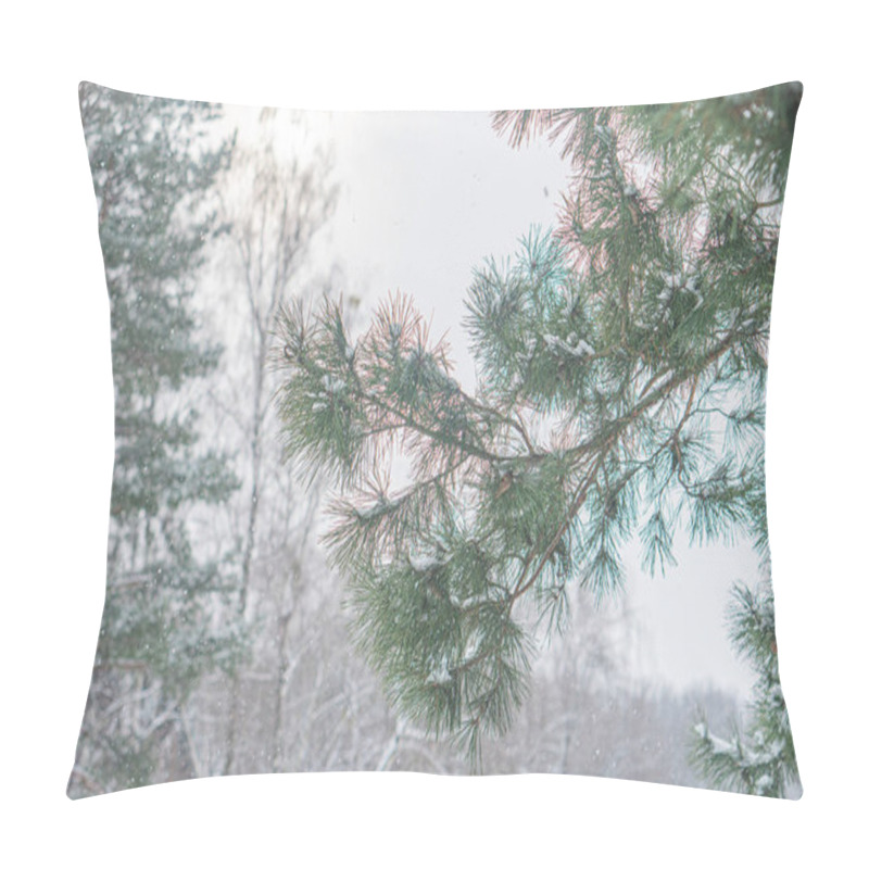 Personality  A Serene Winter Scene From Inside A Building Shows Trees Dusted With Snow And Brown Leaves, Likely Birch Or Deciduous Species The Overcast Sky Adds To The Tranquil Ambiance Of The Image Pillow Covers