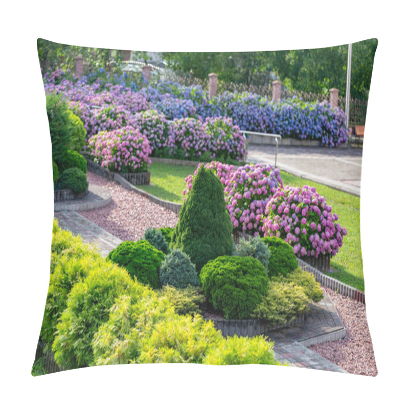 Personality  Hydrangea Flower (Hydrangea Macrophylla) In A Garden. Landscaping Using Hydrangea Macrophylla Bushes. Flowering Bush Of Blue And Red Colored Hydrangea Close-up. The Concept Of Landscaping. Pillow Covers