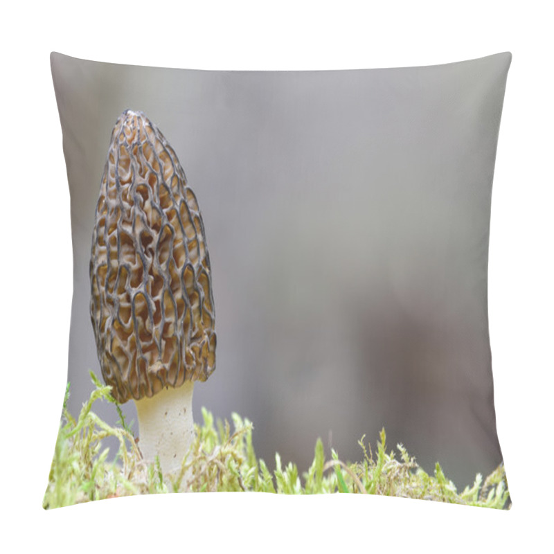 Personality  Morchella Conica Pillow Covers