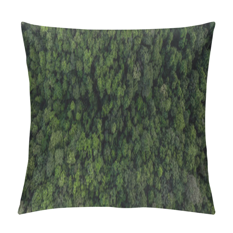 Personality  Aerial Top View Green Forest Tree Texture And Background, Natural Green Forest Tree Background, Tropical Rainforest Tree Ecosystem Environment, Texture And Background Of Green Tree Forest. Pillow Covers