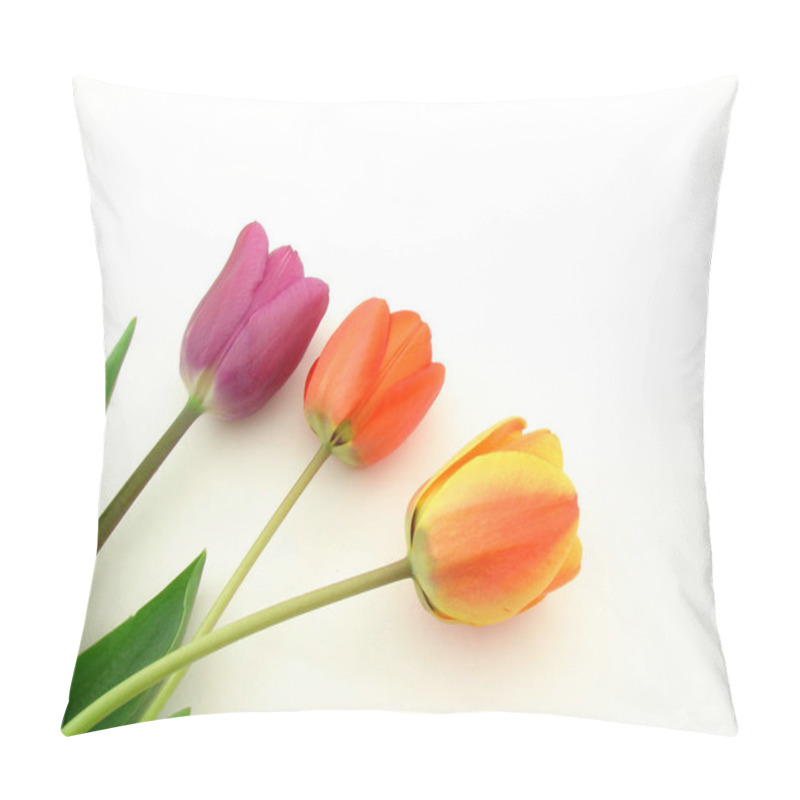 Personality  Tulip Flowers Over White, Concept Of Beauty And Bodycare. Pillow Covers