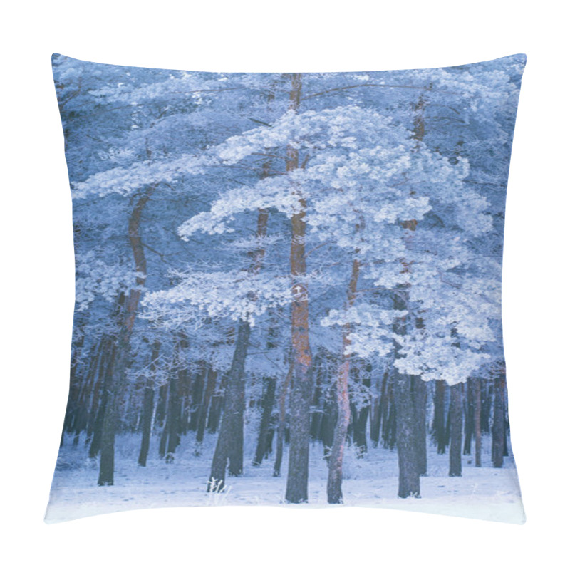 Personality  Trees Branches With Hoarfrost Pillow Covers