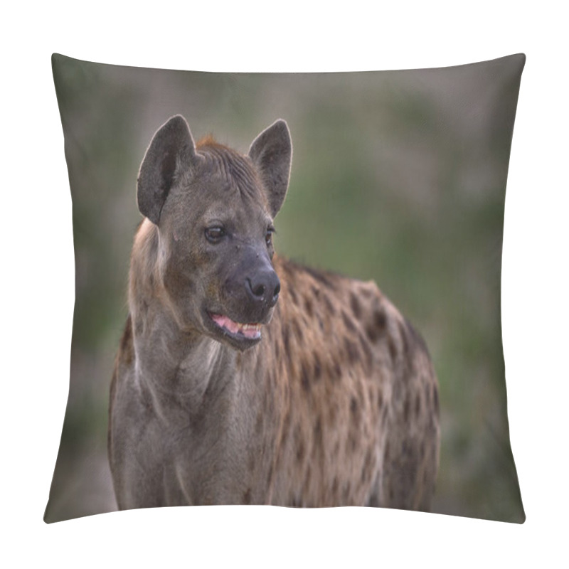 Personality  Hyena Evening Sunset Light. Hyena, Detail Portrait. Spotted Hyena, Crocuta Crocuta, Angry Animal Near The Water Hole, Beautiful Evening Sunset And Cub. Animal Pup Nature, Okavango Delta, Botswana  Pillow Covers