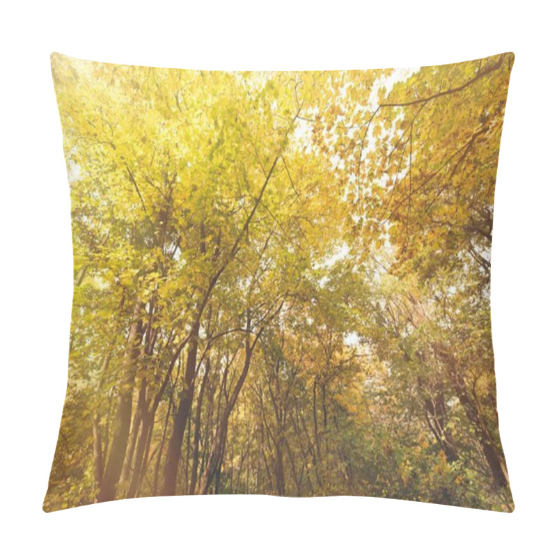 Personality  Autumn Trees Pillow Covers