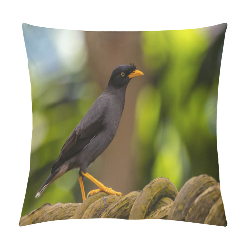 Personality  A Javan Myna Gracefully Perched Against A Lush Green Background, Embracing The Beauty Of The Natural World. With Its Striking Black Plumage And Vibrant Yellow Eye-patches Pillow Covers