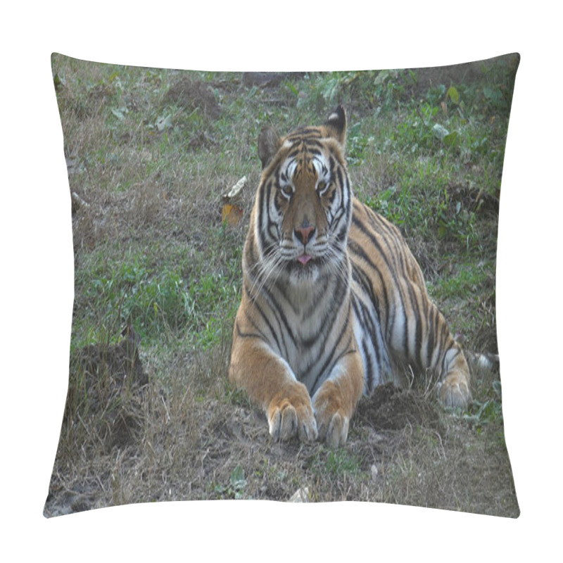 Personality  Tiger In The Forest Pillow Covers