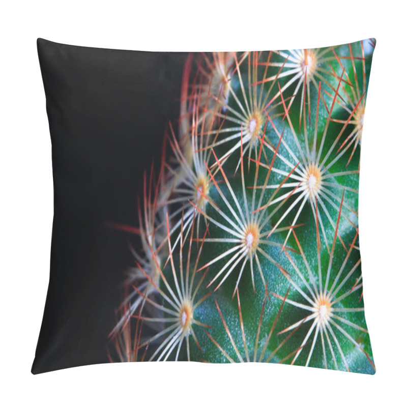 Personality  A Small Green Cactus With Bright Orange Spines Pillow Covers