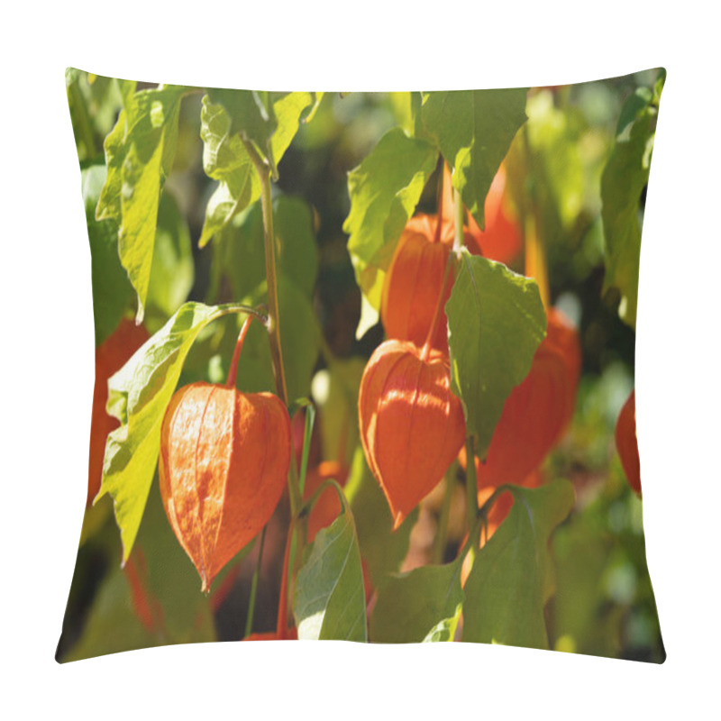 Personality  The Orange Fruit Physalis Peruviana Pillow Covers