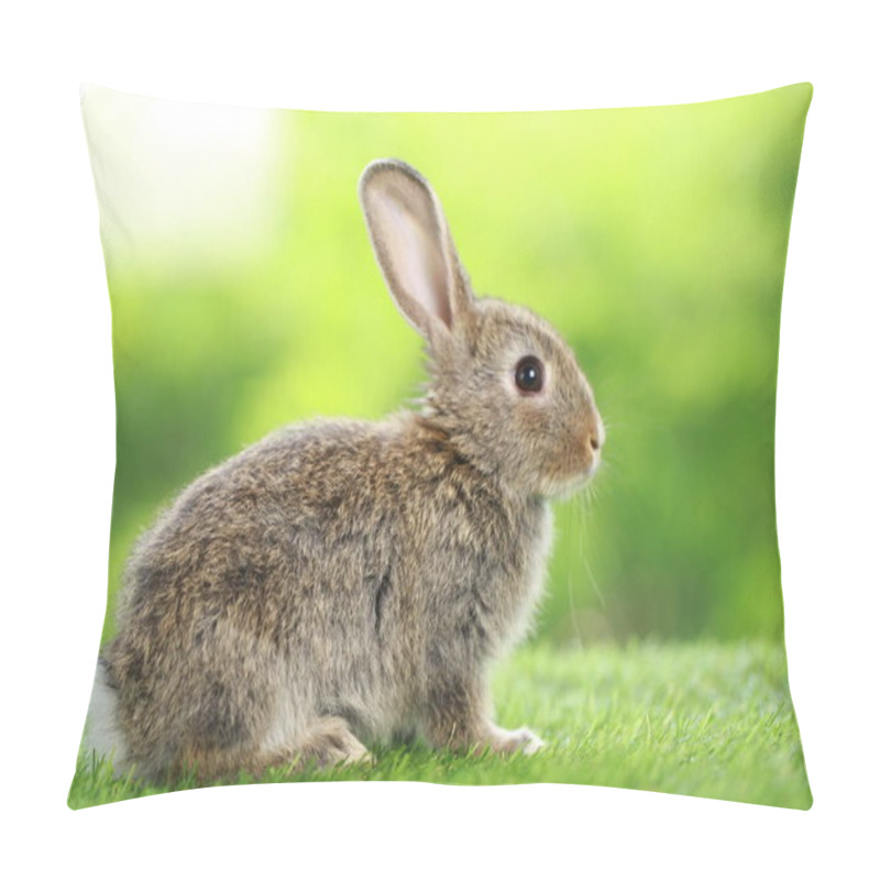 Personality  Cute Little Rabbit On Green Grass With Natural Bokeh As Background During Spring. Young Adorable Bunny Playing In Garden. Lovely Pet At Park In Spring. Pillow Covers