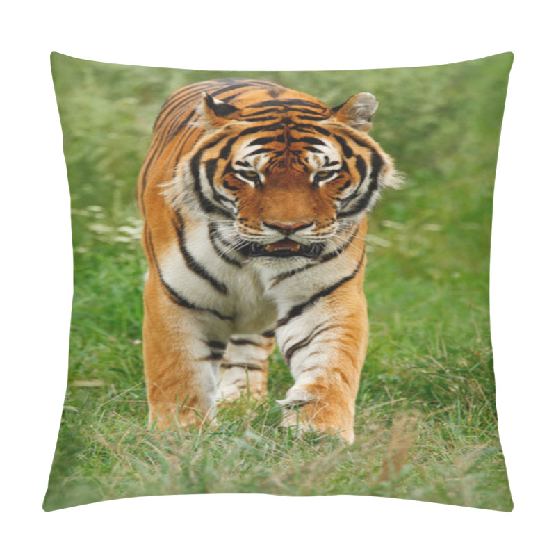 Personality  Amur Or Siberian Tiger Pillow Covers