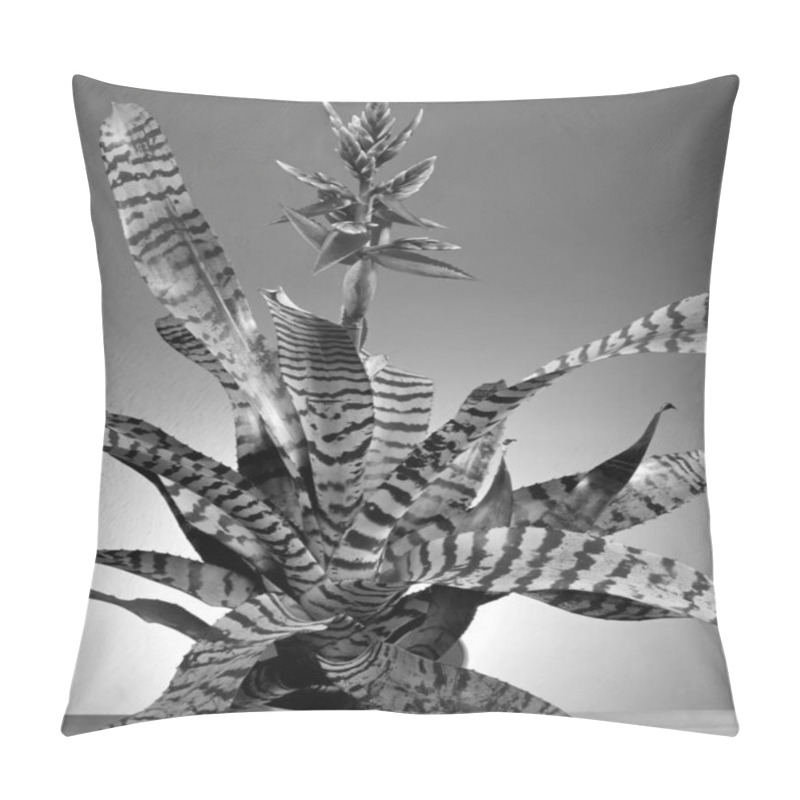 Personality  Flowers Close View, Natural Plants Black And White Photo Background Pillow Covers