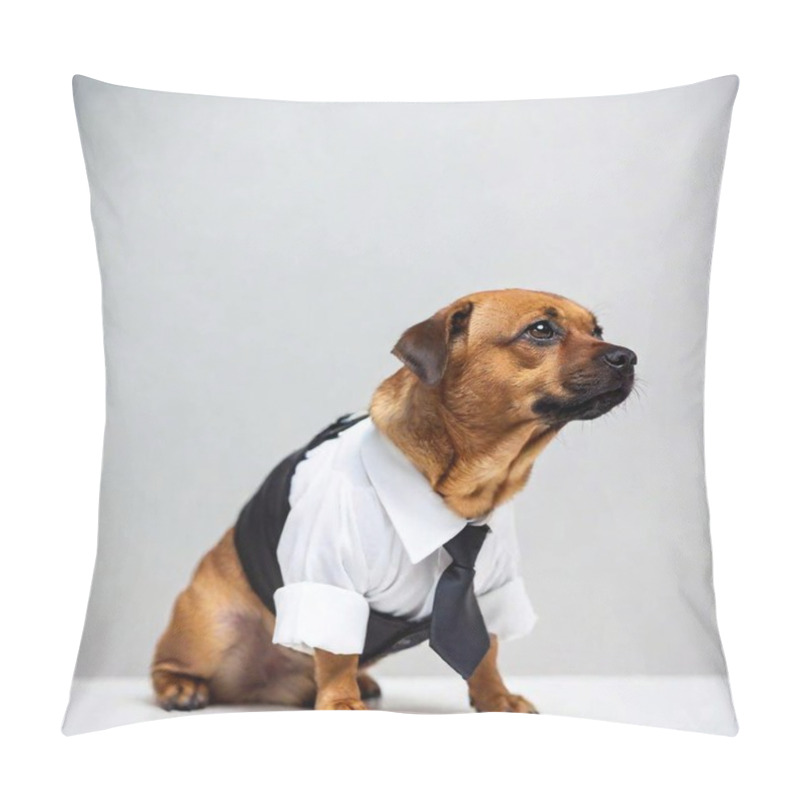 Personality  A Dog With A Tie On A White Background Pillow Covers