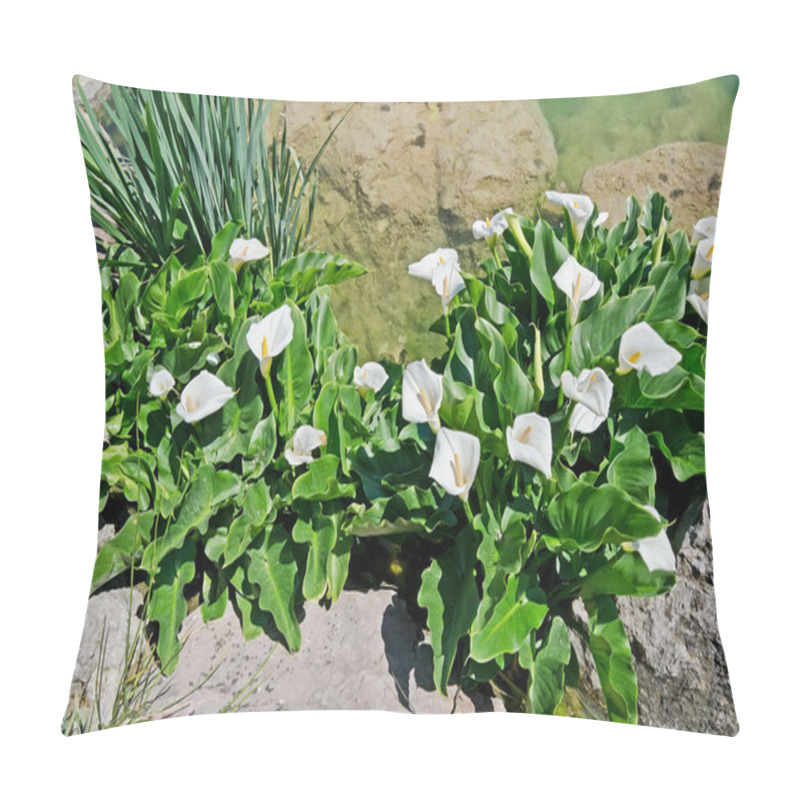 Personality  White Calla Lilies In A Pond Pillow Covers