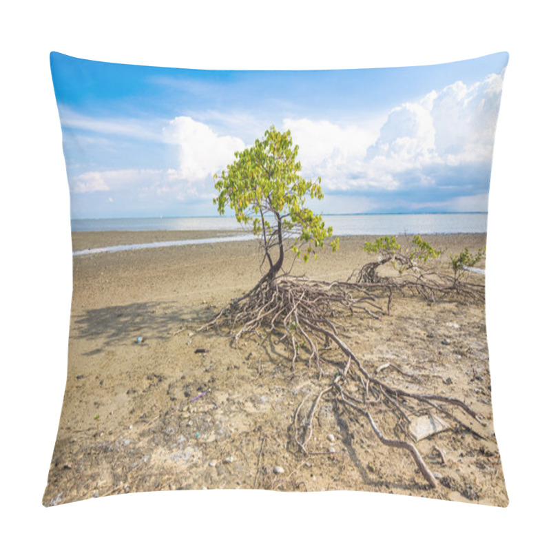 Personality  Mangrove Trees And Roots On The Beach Of The Sea Pillow Covers