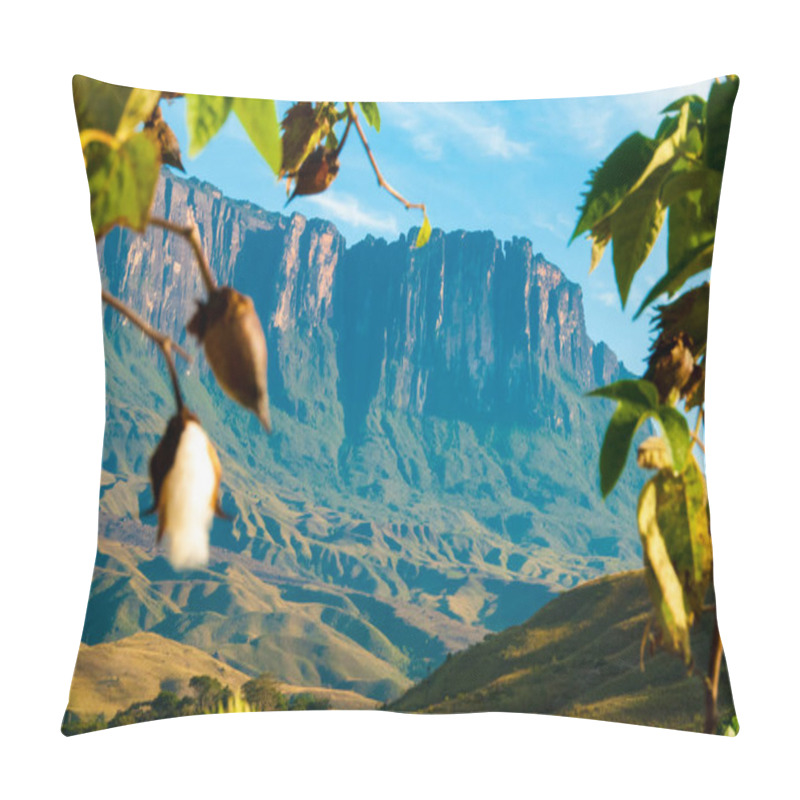 Personality  View Of Roraima Tepui, Gran Sabana, Venezuela Pillow Covers