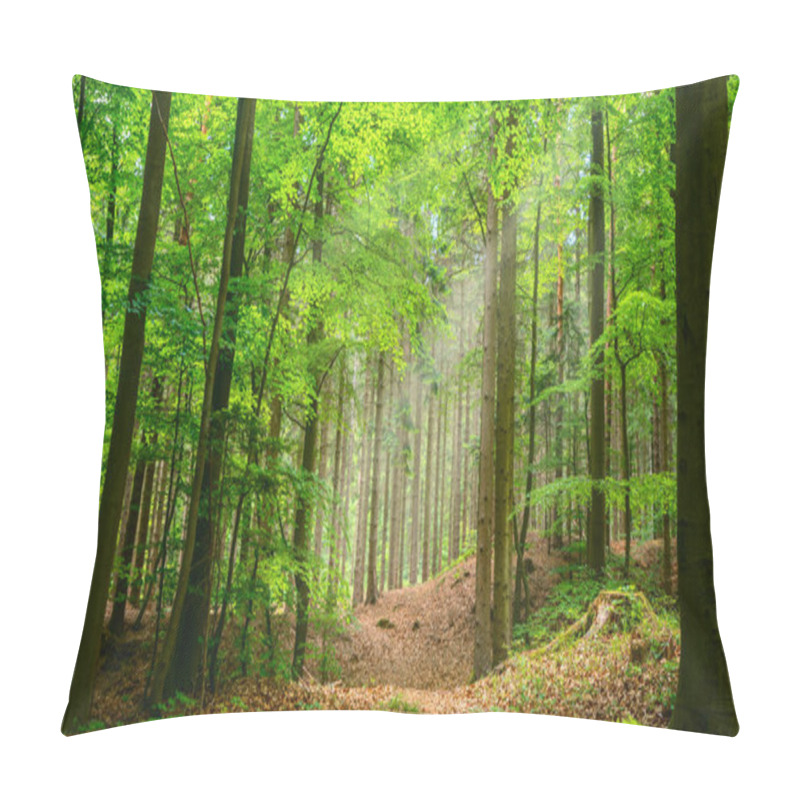 Personality  Silent Forest In Spring With Beautiful Bright Sun Rays - Wanderlust Pillow Covers