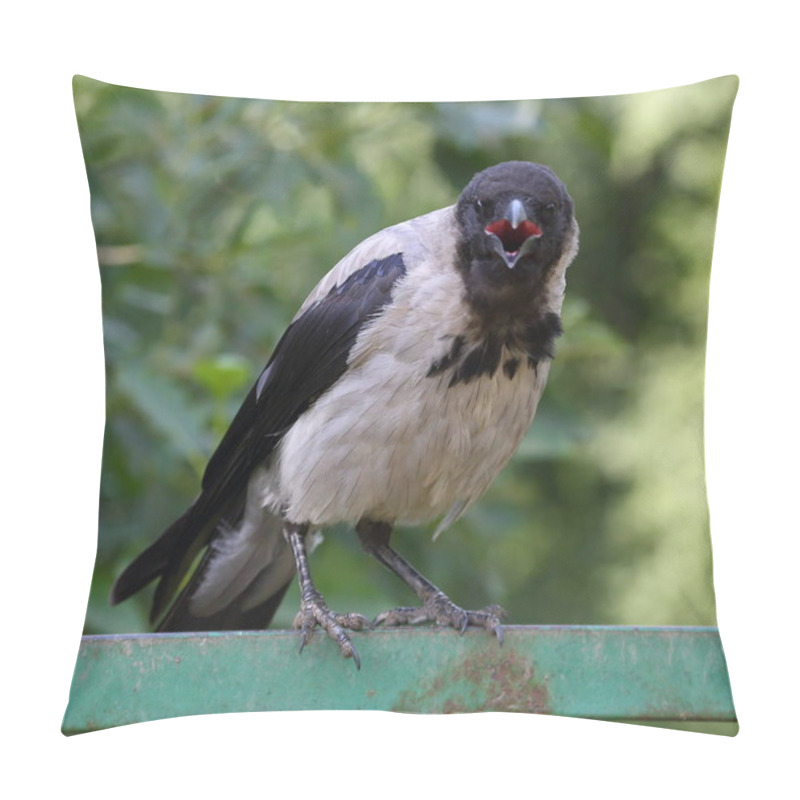 Personality  A Crow With An Open Beak Sits On A Green Railing Pillow Covers