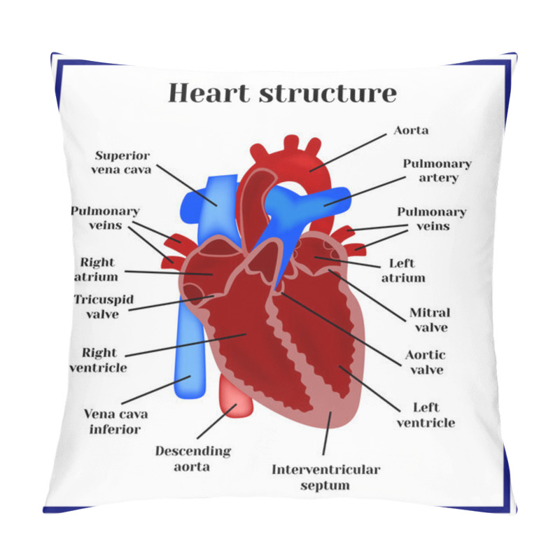 Personality  Heart Structure. The Organ Of The Circulatory System. Pillow Covers