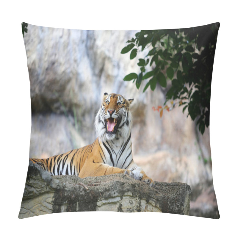 Personality  Bengal Tiger Action Pillow Covers