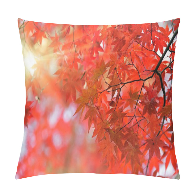 Personality  Japanese Red Maple Tree Pillow Covers