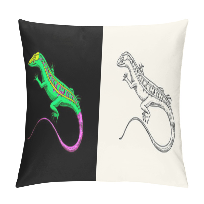 Personality  American Sand Lizard, Exotic Reptiles. Wild Animals In Nature. Engraved Hand Drawn. Pillow Covers