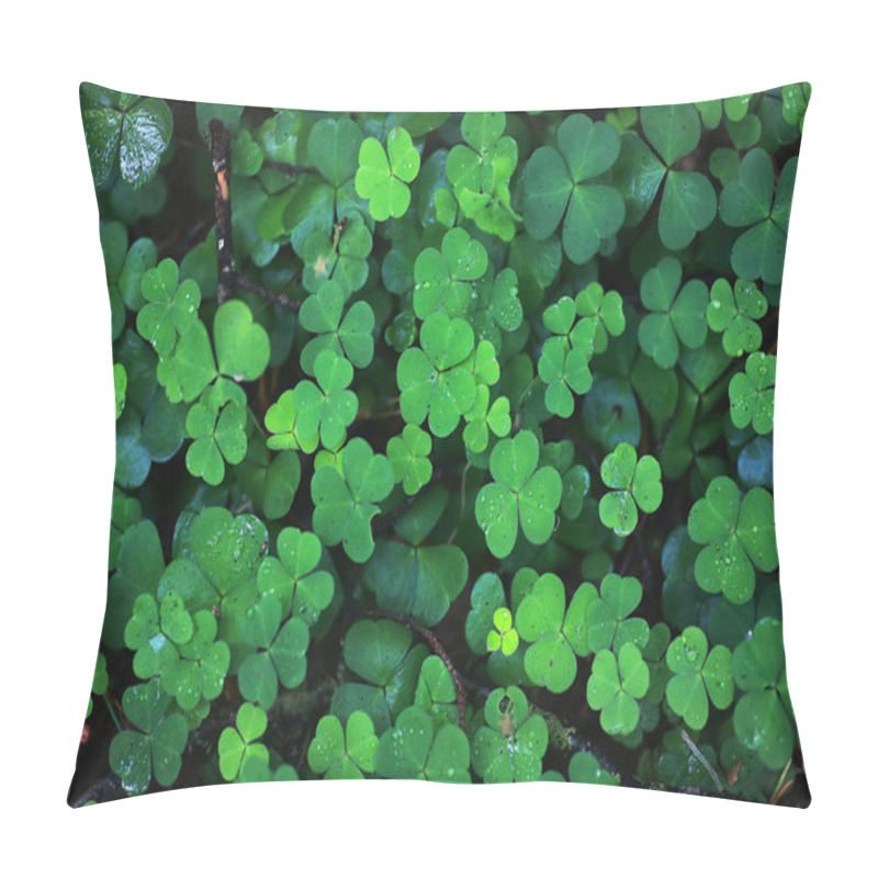 Personality  Background From Plant Clover Four Leaf. Irish Traditional Symbol Pillow Covers