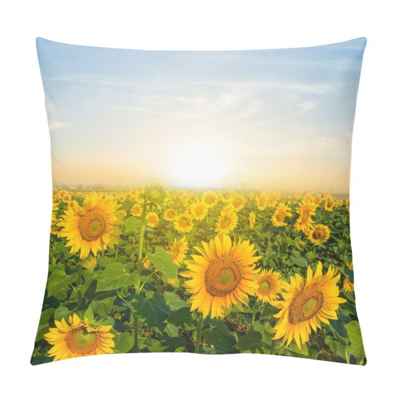 Personality  Golden Sunflower Field At The Sunset Pillow Covers