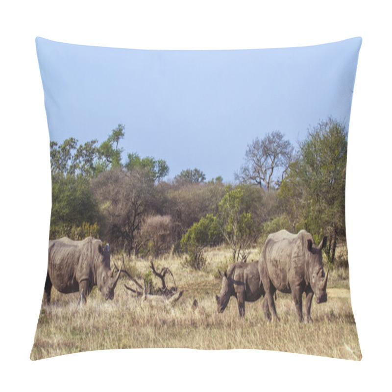 Personality  Southern White Rhinoceros In Kruger National Park, South Africa Pillow Covers