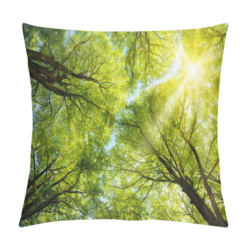 Personality  Sun Shining Through Treetops Pillow Covers