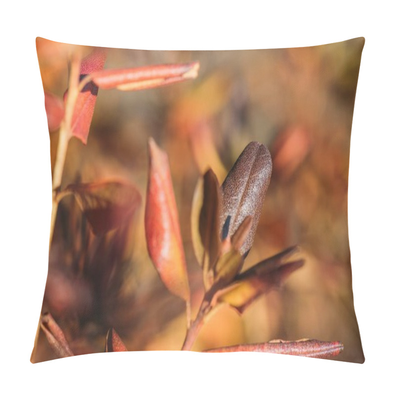 Personality  Beautiful Autumn Leaves Pillow Covers