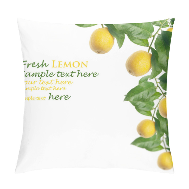 Personality  Fresh Lemon Pillow Covers